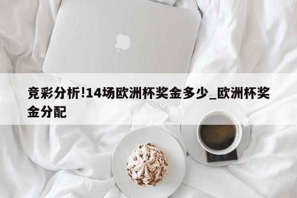 竞彩分析!14场欧洲杯奖金多少_欧洲杯奖金分配