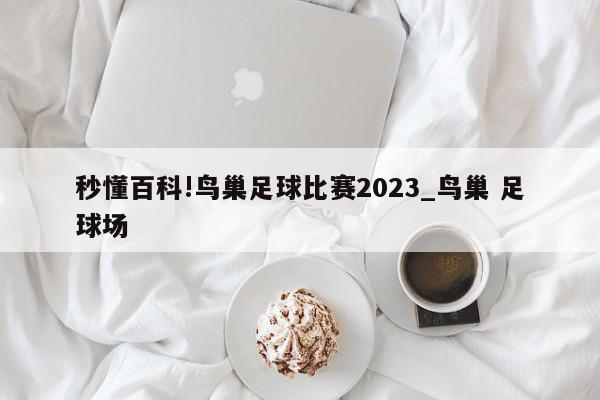 秒懂百科!鸟巢足球比赛2023_鸟巢 足球场